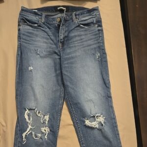 Express Women's Classic Blue Ripped Skinny Jeans